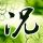 一比一原版弗罗斯特堡州立大学学位证【degxx.com】